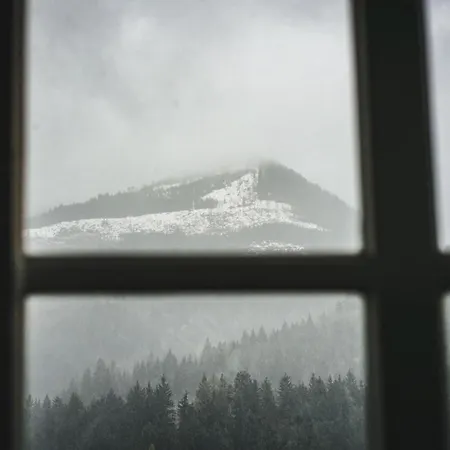 Appartement Apartmenthaus Burg Heimfels Heinfels